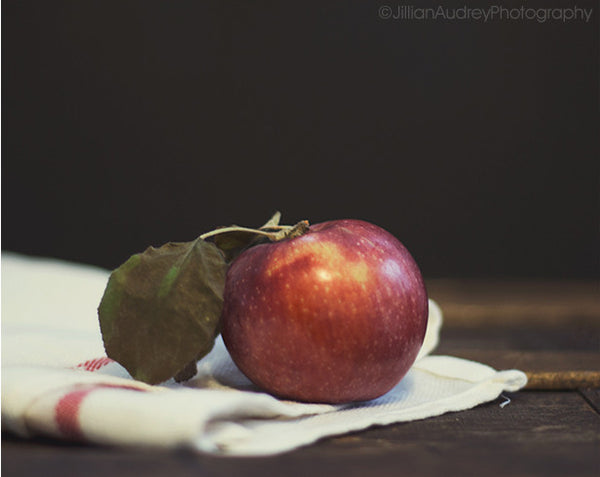 Take a Bite / Photography Print