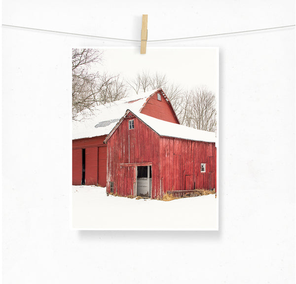 Barn Duo / Photography Print