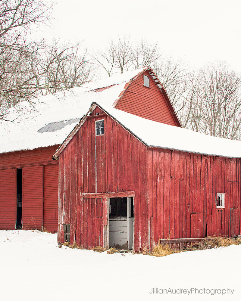 Barn Duo / Photography Print Barn Duo / Photography Print