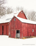 Barn Duo / Photography Print