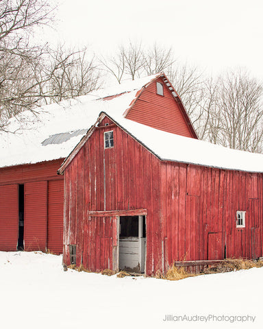 Barn Duo / Photography Print