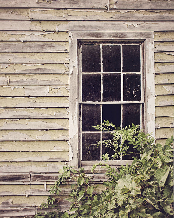 Rural Decay / Photography Print Rural Decay / Photography Print