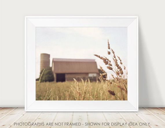 Bounty / Photography Print