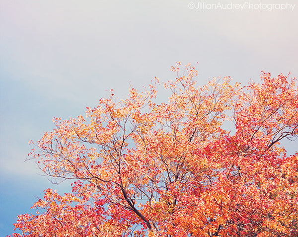 Colorful October / Photography Print