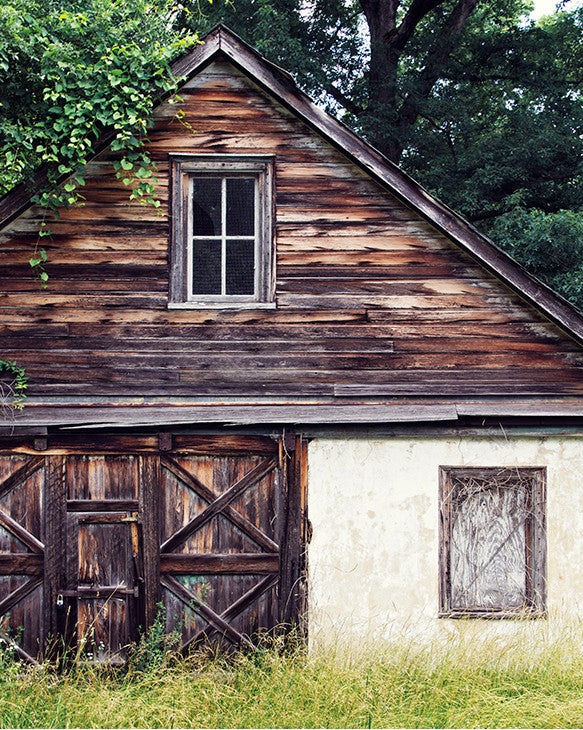 Forgotten Home / Photography Print