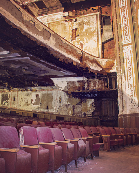 Front Row Seats / Photography Print
