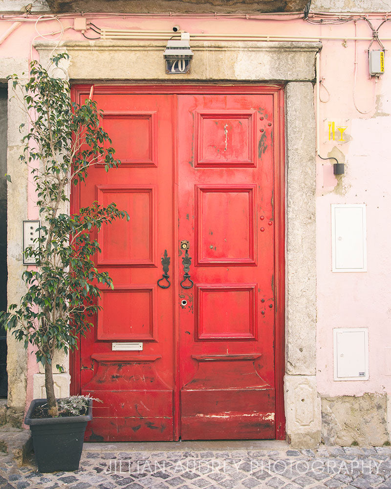 Lisbon Door 70 / Photography Print