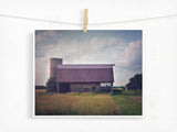 Pastoral / Photography Print