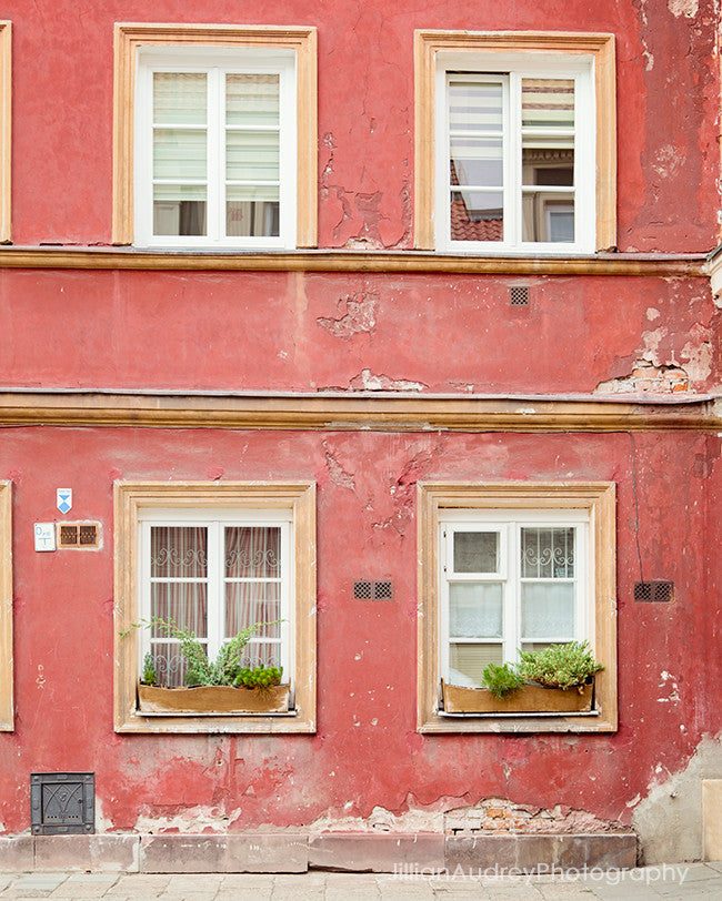 Perfect Color / Photography Print Perfect Color / Photography Print