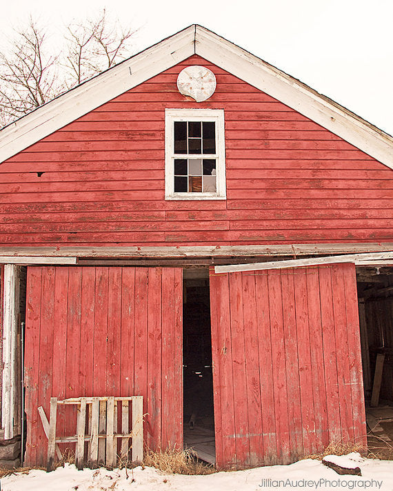 Red In Winter / Photography Print