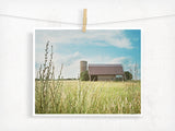 Summer Breeze / Photography Print