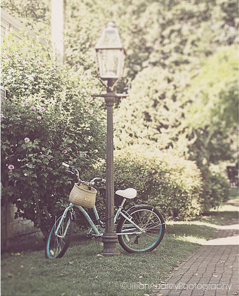 Vineyard Bike / Photography Print Vineyard Bike / Photography Print