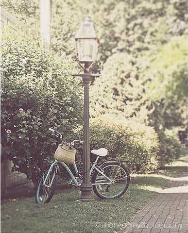 Vineyard Bike / Photography Print