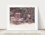 Yam Cart / Photography Print