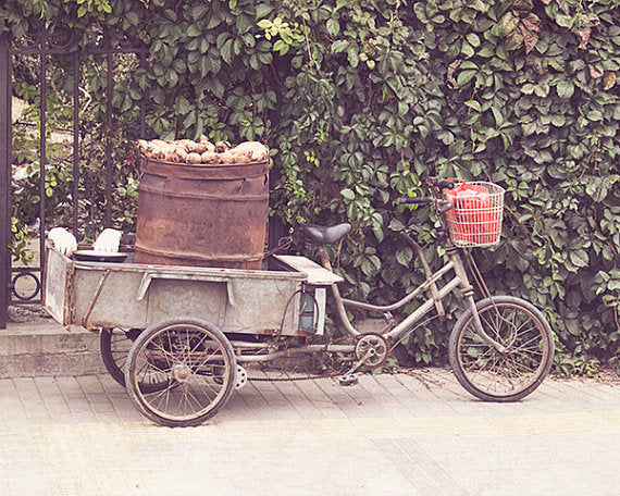 Yam Cart / Photography Print