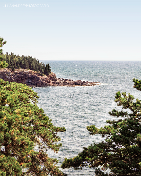 Summer in Acadia / Photography Print