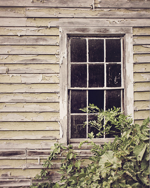 Rural Decay / Photography Print