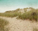 Cape Dunes / Photography Print