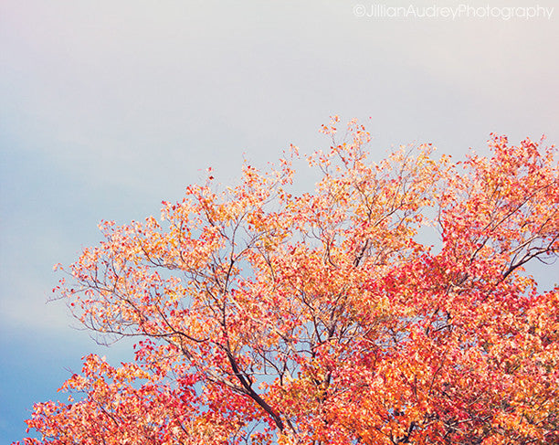 Colorful October / Photography Print