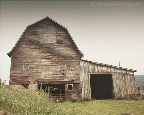 Homeward / Photography Print