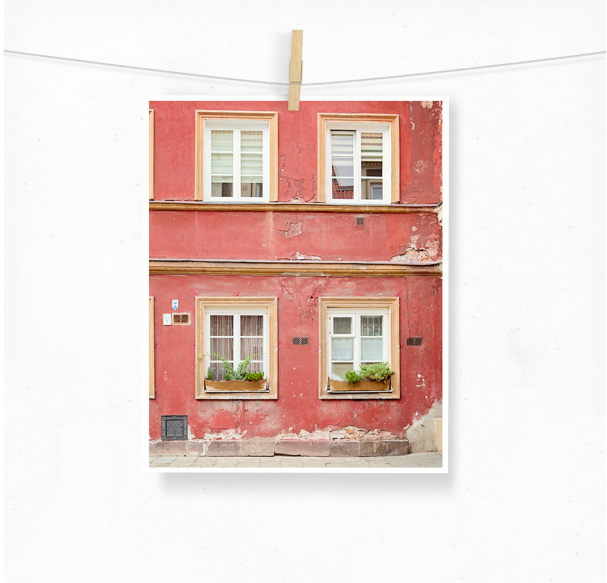 Perfect Color / Photography Print – JillianAudrey