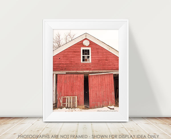 Red In Winter / Photography Print